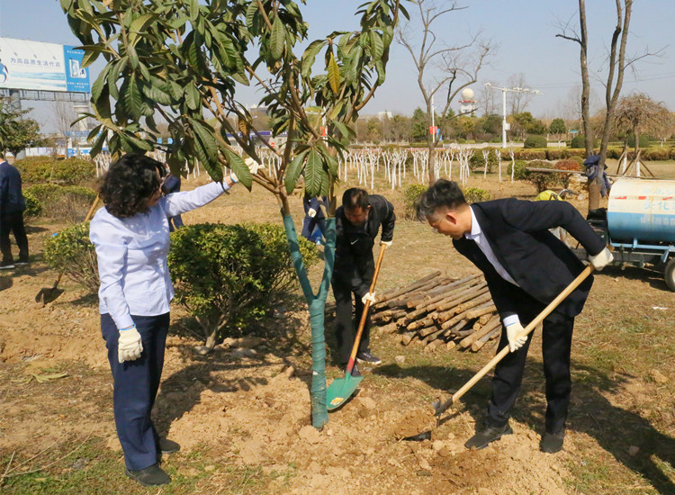 植树节官网内页2.jpg